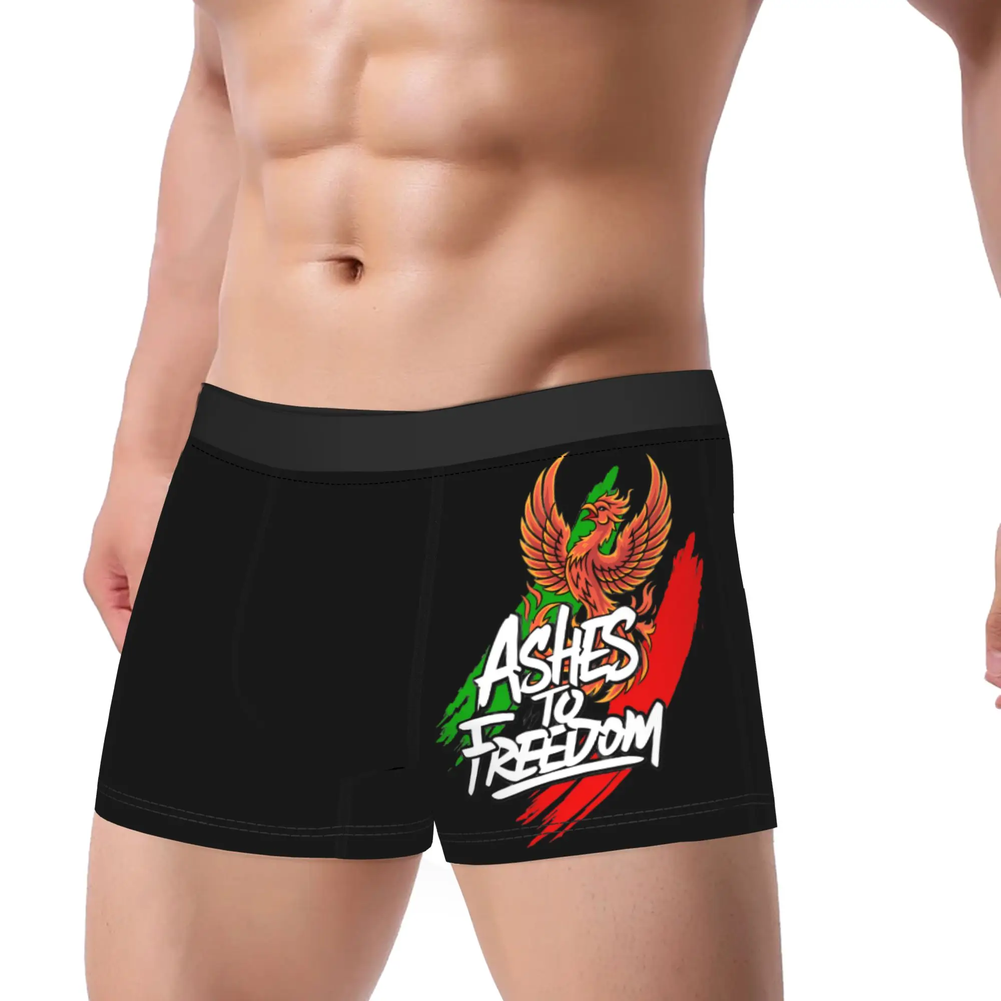 

King Reza Pahlavi Trunk Pouch Underwear Trenky Printing Boxer Brief Classic Men Underpants Plus Size 2XL