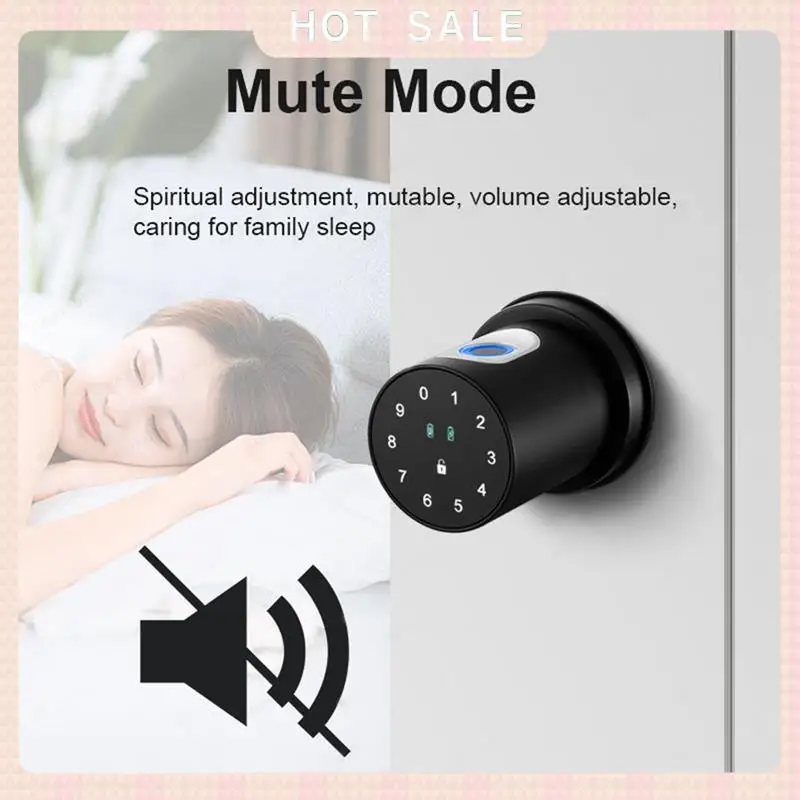 24-Hour Delivery Tuya Bluetooth Smart Lock Fingerprint, Password Access For Home For Bedroom Apartment Security Homestay