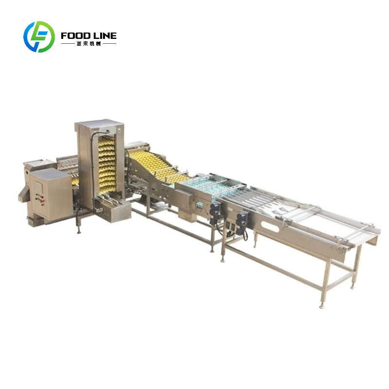 Egg Packer For Chicken Farm Automatic Small Scale Manipulator Egg Packaging Equipment Customized