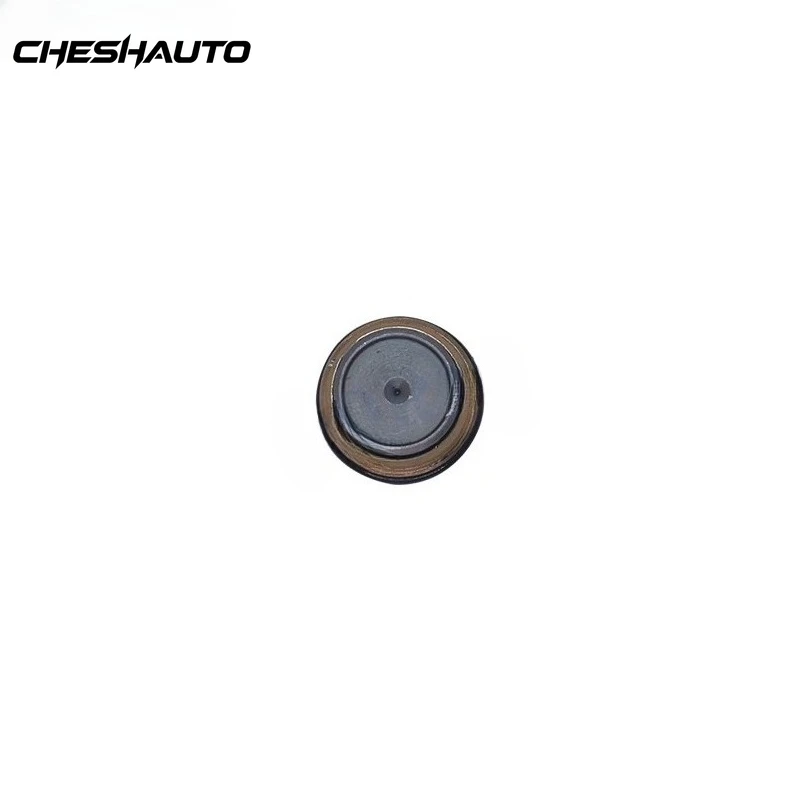 1110010022 Common Rail Pressure Relief Valve for Iveco EuroCargo Car Auto Part 2854543 42562997 04088436 51103040278 2