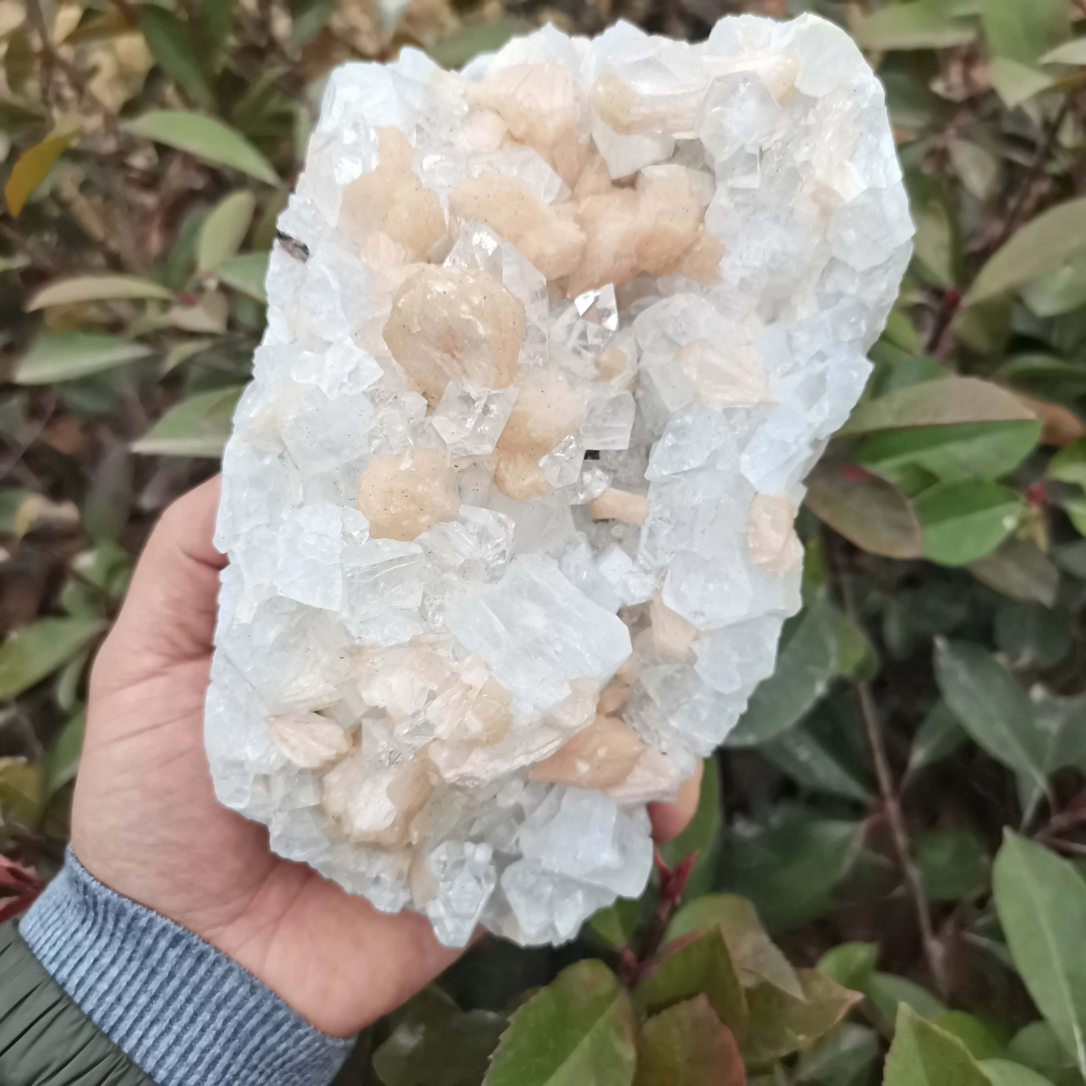 

Raw Crystal Mineral Natural Rough Zeolite And Apophyllite Intergrowth Quartz Healing Quartz Reiki Energy Gifts Raw Stone Specime