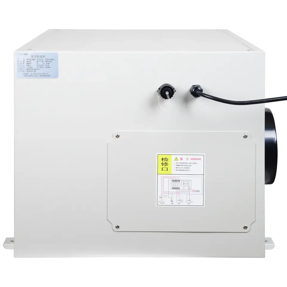 Manufacturer 136L/D Ceiling Dehumidifier For Sale RYDZ-136A