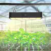 Led Plant Light 2000w Full Spectrum High Light Efficiency Ppfd Plant Growth Lamp Flower Vegetable Seedling Fill Light