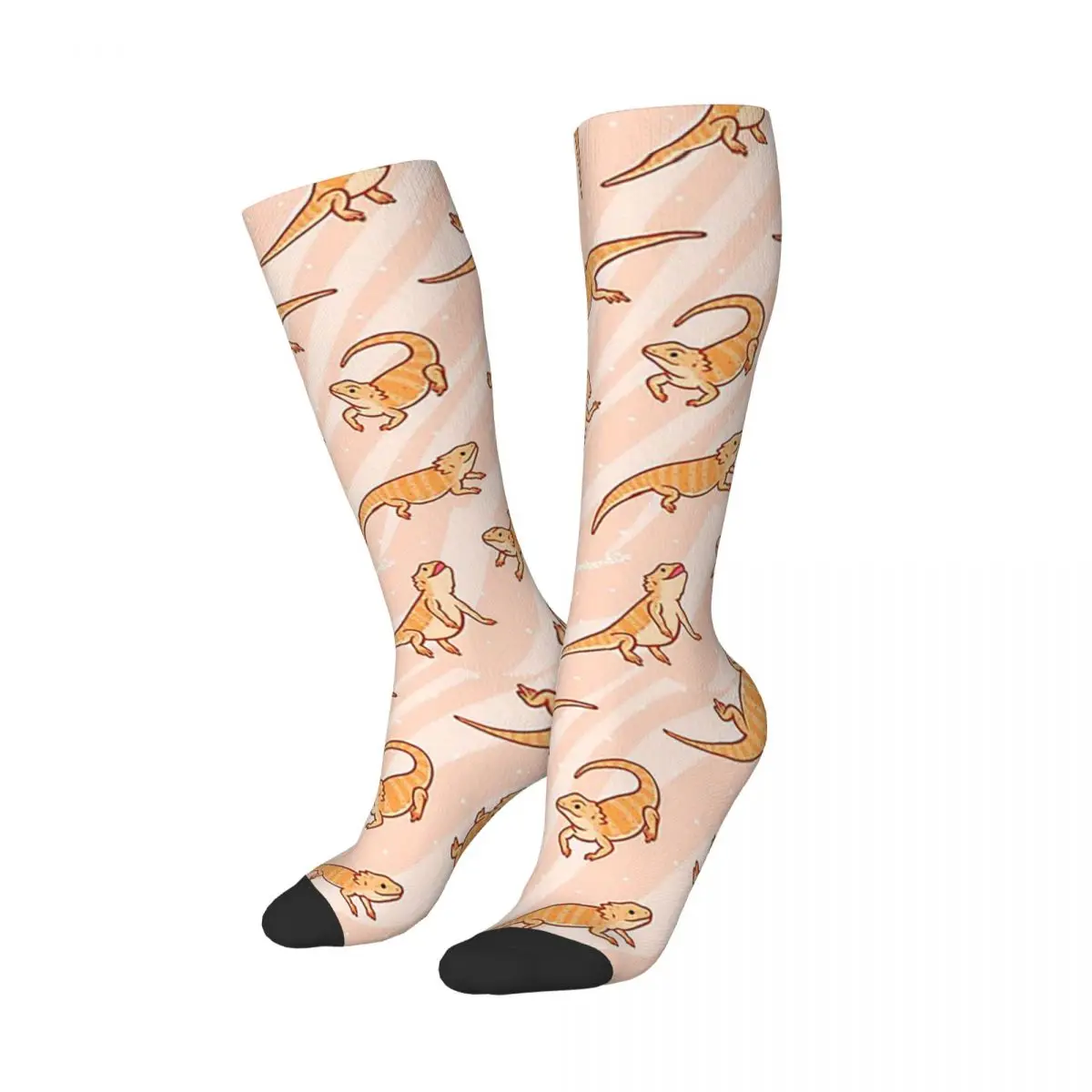 Bearded Dragons Socks Harajuku High Quality Stockings All Season Long Socks Accessories for Man's Woman's Birthday Present