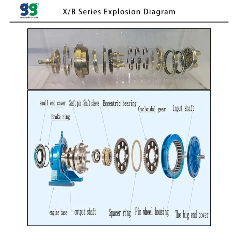 رائجة البيع BWD1 علبة التروس الدائرية الأفقي والعمود المزدوج والعمود المفصل المباشر من سلسلة Xwd Bwd #5