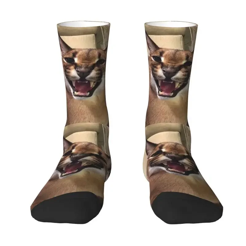 

Caracal Cat Floppa Meme Men Women Crew Socks Unisex Kawaii 3D Print Dress Socks