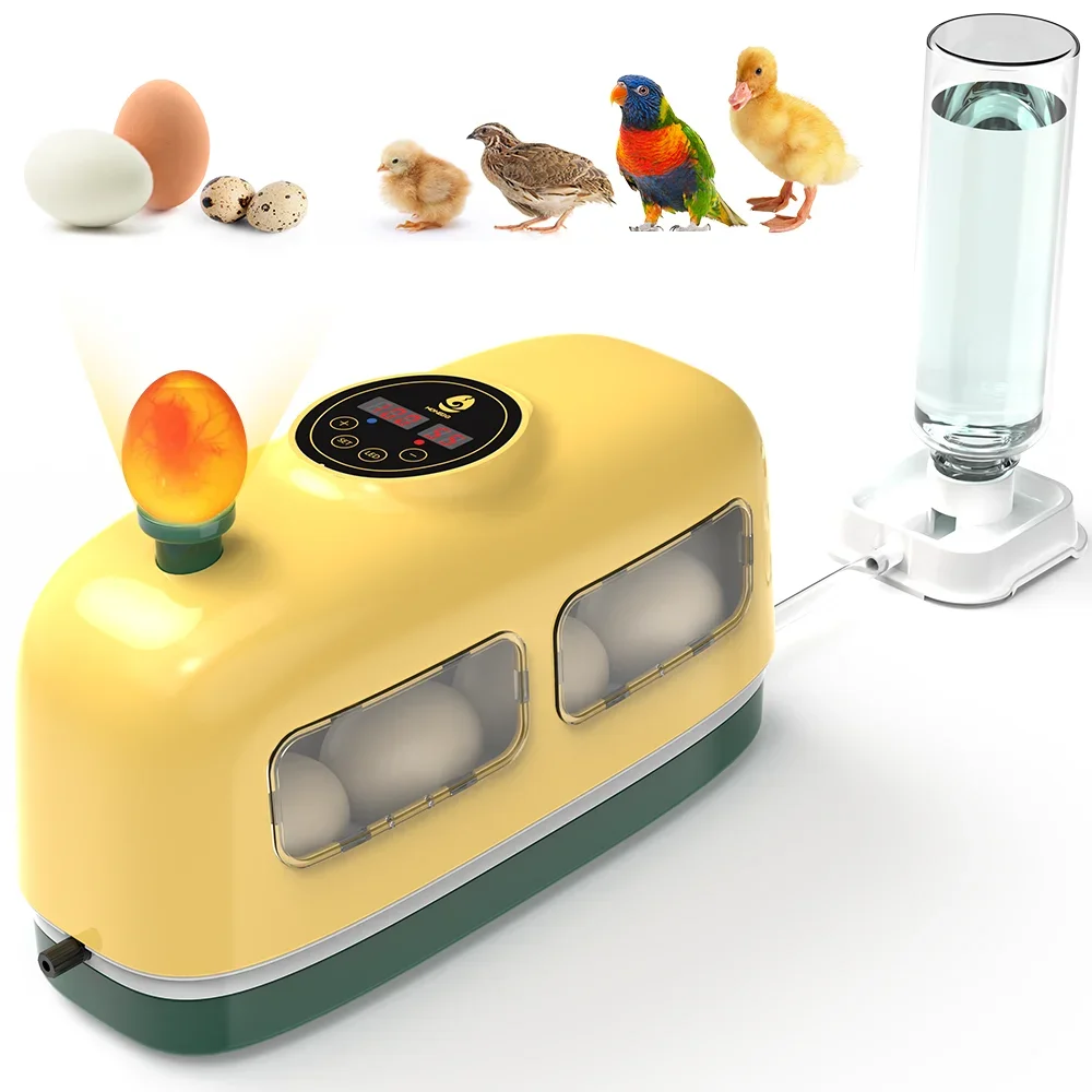 8-Egg Capacity Incubator for Hatching Chicken Poultry Eggs with Automatic Egg Turning And Temperature Control Home Egg Hatcher w