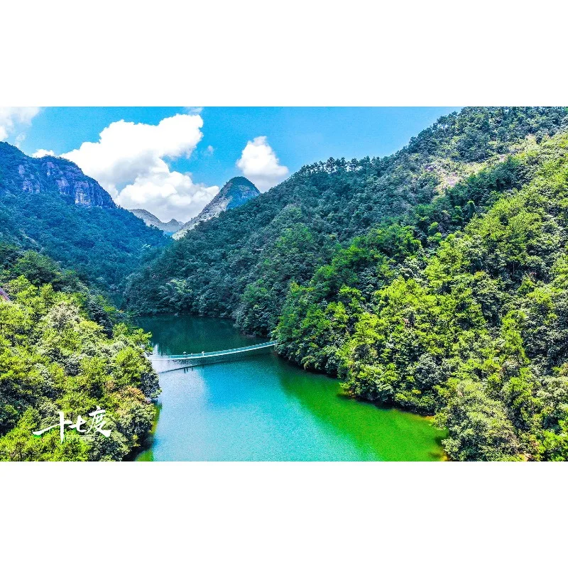 

Tiy Popular Tail Lights Car LED Rear Lamp Reversing Lamp Stop Brake Lamp Turn Signal LampFor Mazda CX-9 CX9 US Version 2016-202