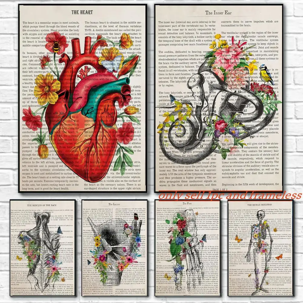 Flower Organ Anatomy Art Poster Art painting with prints Home bedroom bar Outdoor places living room decoration gift