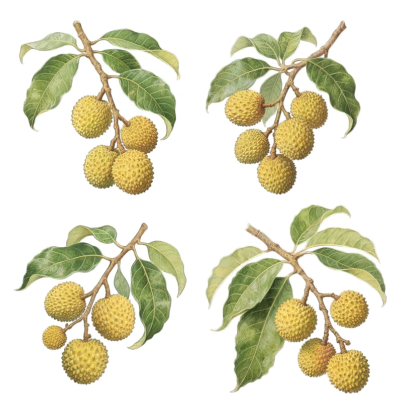 Three Ratels CFN146 pegatina de pared de fruta de lichi amarillo para decoración del hogar pegatina de cocina