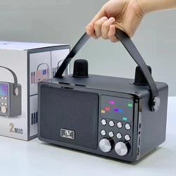 100W High Power RGB Pickup Rhythm Light Wireless Portable Microphone Bluetooth Speaker Sound Family Karaoke TF Subwoofer Ys-311