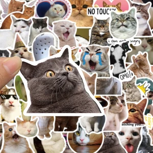 Funny animals cat meme stickers for children, beautiful stickers, toys, phone, water bottle, notebook, graffiti kawaii decals, decoration, 10 pcs, 30 pcs, 50pcs 10 Main Sales Stickers Aesthetic - №2