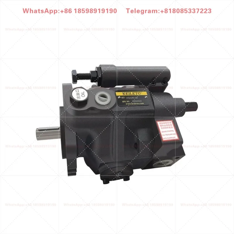 Adapt to replace V15A/V18A/V23A/V38A/V50A oil lifting plunger pump 1/2/3/4-R10X plunger