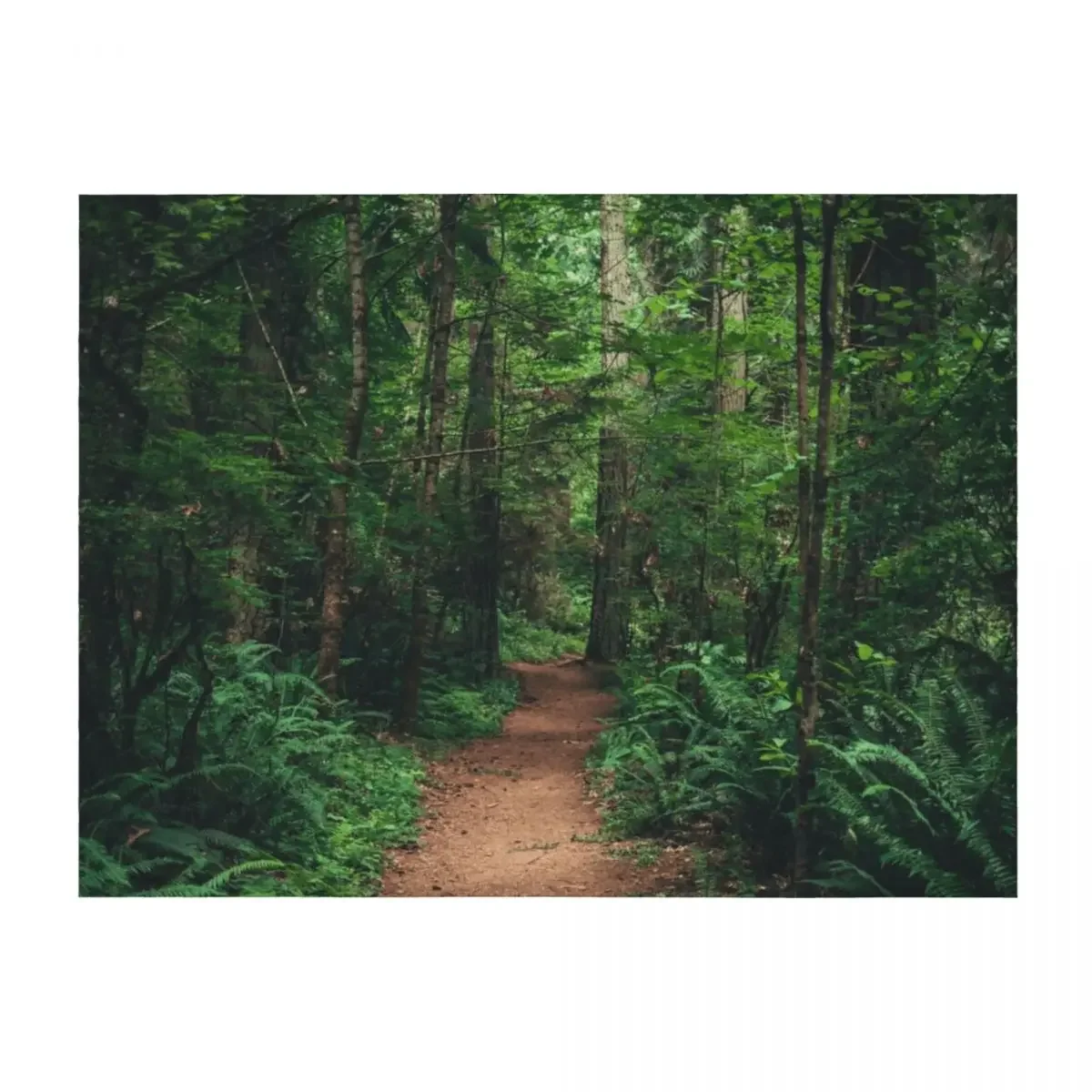 

Take the path Throw Blanket Comforter Hairy Nap Flannel Fabric Blankets