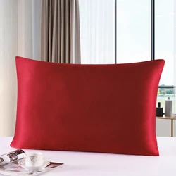 Silk Zipper Pillowcase 1pc 19mm 100% Nature Mulberry Comfortable Solid Color Silk Pillowcases For Healthy Multicolor ls1705-01