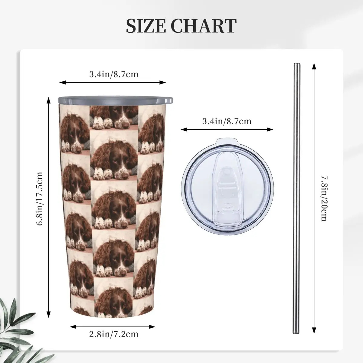 English Springer Spaniel Stainless Steel Tumbler Vacuum Insulated Mugs Thermal Cold Bottle Straws With Lid 20oz