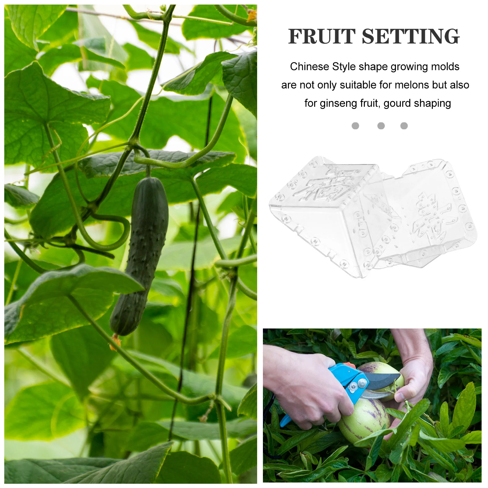 

2Pcs Fruit Shaping Mold Set Square Growing Mold for Melon Vegetable Shaping Garden Tool with High Strength Wear Resistance