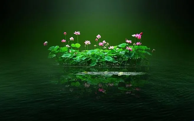 

For Toyota COROLLA 2008-2010 Black Under Engine Guard Plate Splash Shield Mud Fender Cover Mudguard Protector