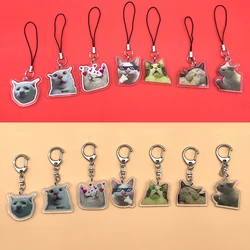 1/7 Fun Cat Keychain/Phone Rope Acrylic Pendant/Keychain Birthday Gift D-Ring Pendant