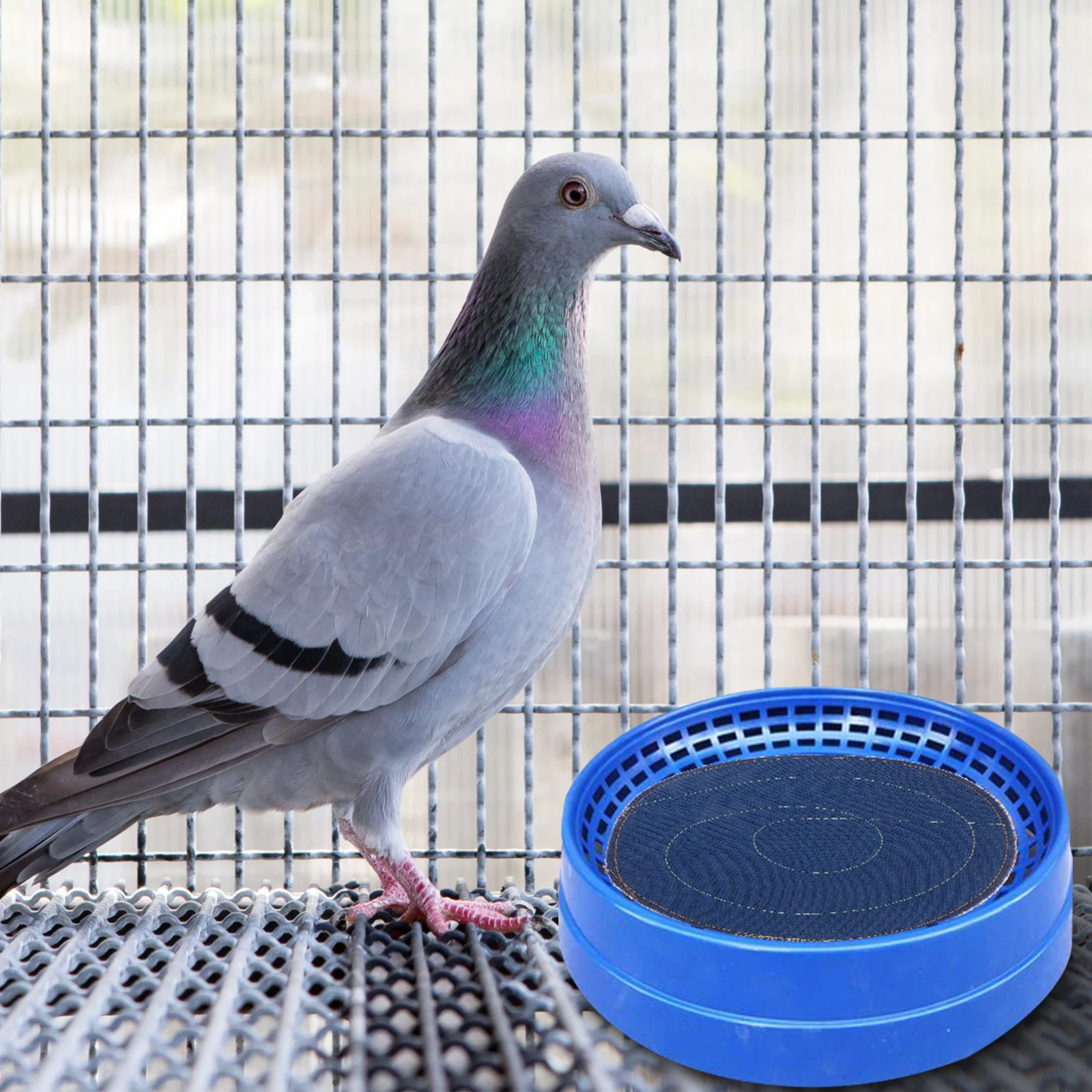 

Cloth Nest Pads Pigeon Cage Pet Supplies Parrot Cushion Accessories for Pigeons
