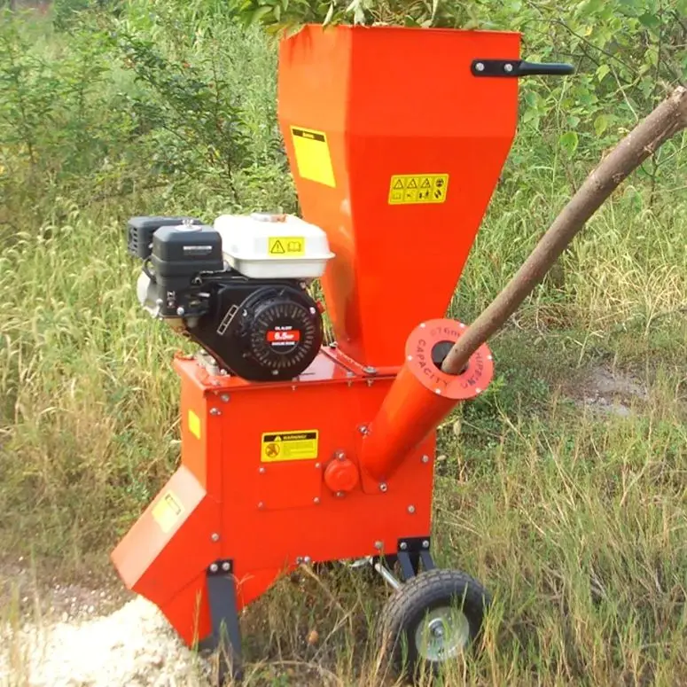 Customized Petrol W…