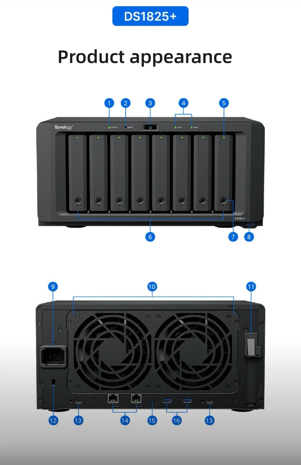 TLF 신형 DS1825+ 데이터 저장 시스템 미국 라이젠 V1500B 8베이 20TB NAS 서버 스토리지