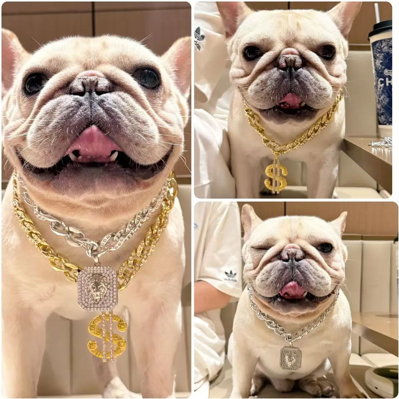 Colgante de moda para perro, accesorios para el cuello de gato, Collar de plástico con circonita elegante para mascota, Collar ajustable para Cosplay, Collar para cachorro pequeño y mediano