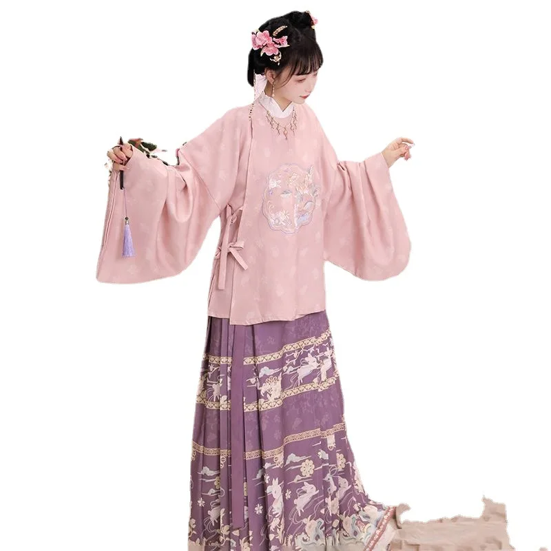 Horse Face Skirt Ming Dynasty Chinese Embroider Women's Hanfu Dress Set Daily Costume Traditional Ancient Perform Dance Wear