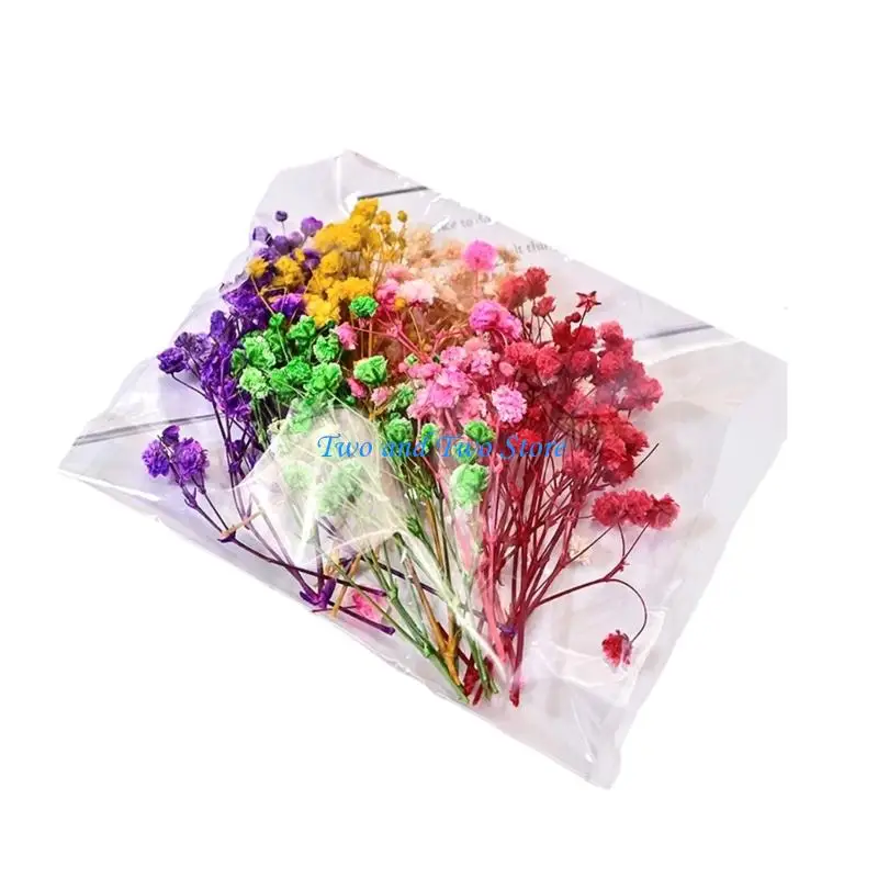 

HX6F Floral Bouquet in Resin Featuring Dried Hydrangea and Gypsophila