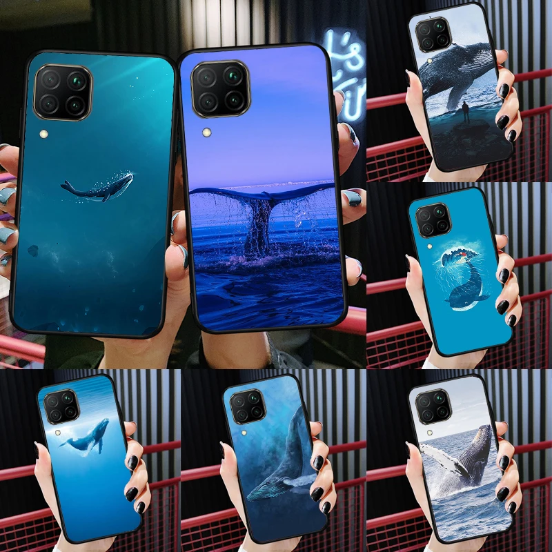 Blue Whale For Huaw… - image