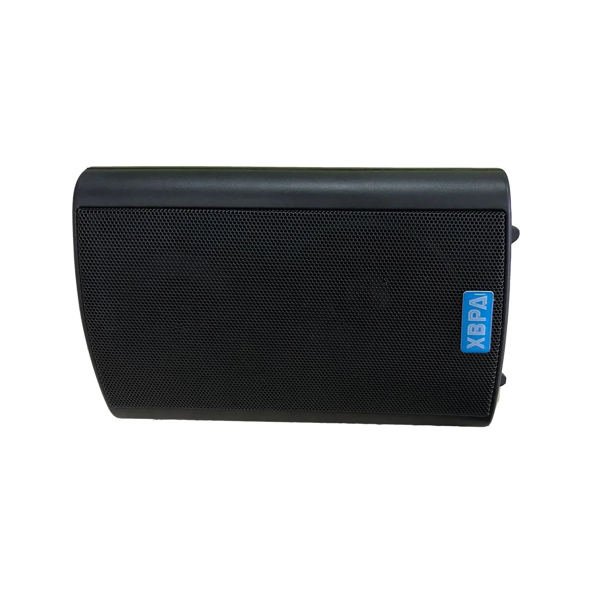Professional Wall-mounted IP Network Speaker 2.0 Channel Integrated IP/SIP/VOIP/WIFI Built-in Power Amplifier Plastic