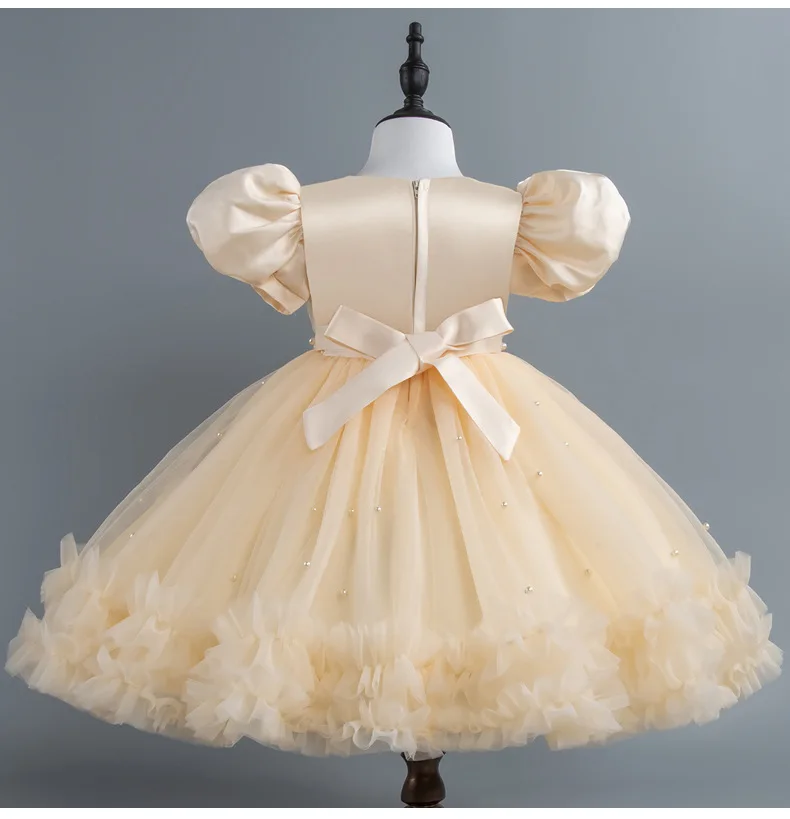 Baby Girl Princess Dress Girls' Daily Dresses Tulle Ball Gown Kid Girls Clothes