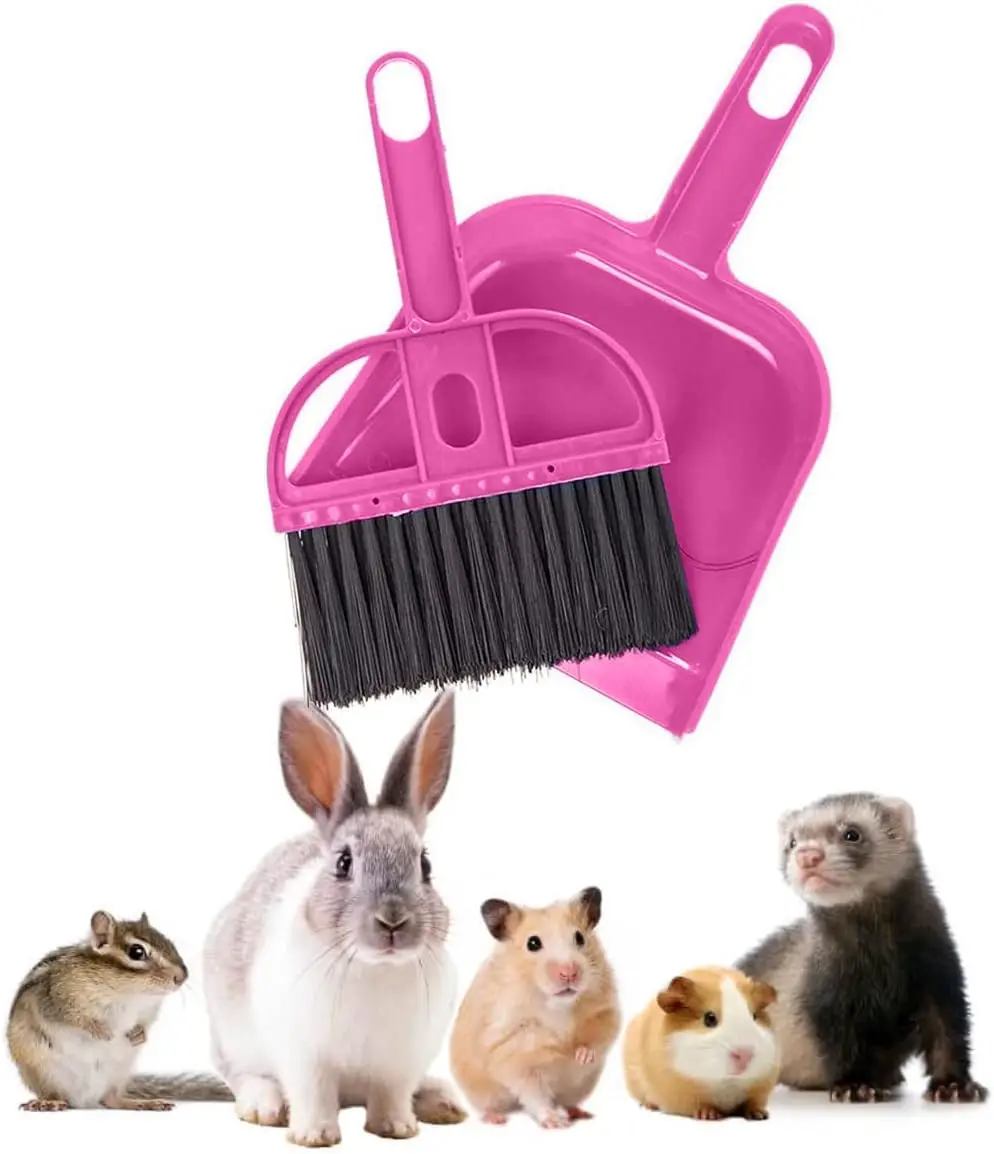 Conjunto de mini vassoura e pá de lixo - Kit de limpeza compacto para casa, carro, camping, limpeza de animais de estimação