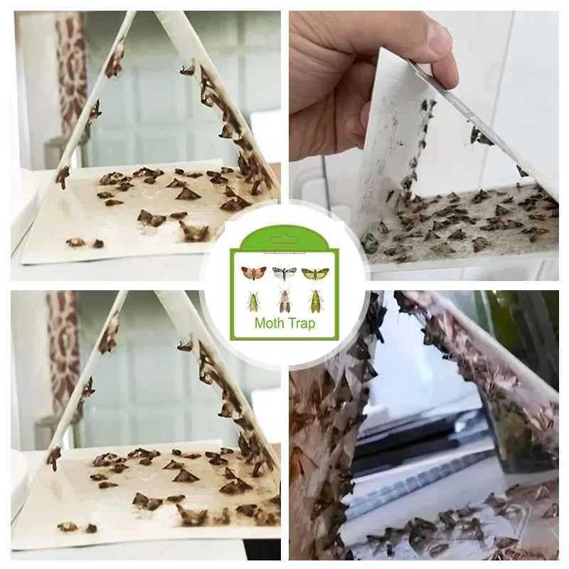 1/2/3/6/12PCS Pantry Kitchen Flies Food Indian Meal Moths Catcher Attractant Sticky Glue Killer Pheromone Moth Trap