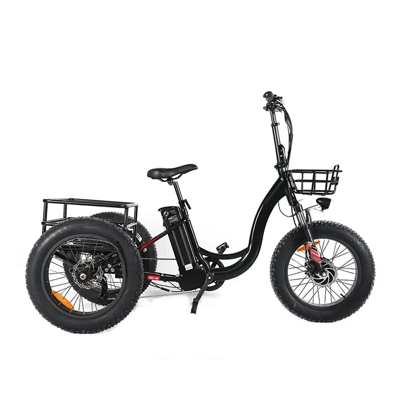 BRThree Wheel Cargo Ebike 48v 500w 750w Front Wheel Hub Motor Electric Tricycle