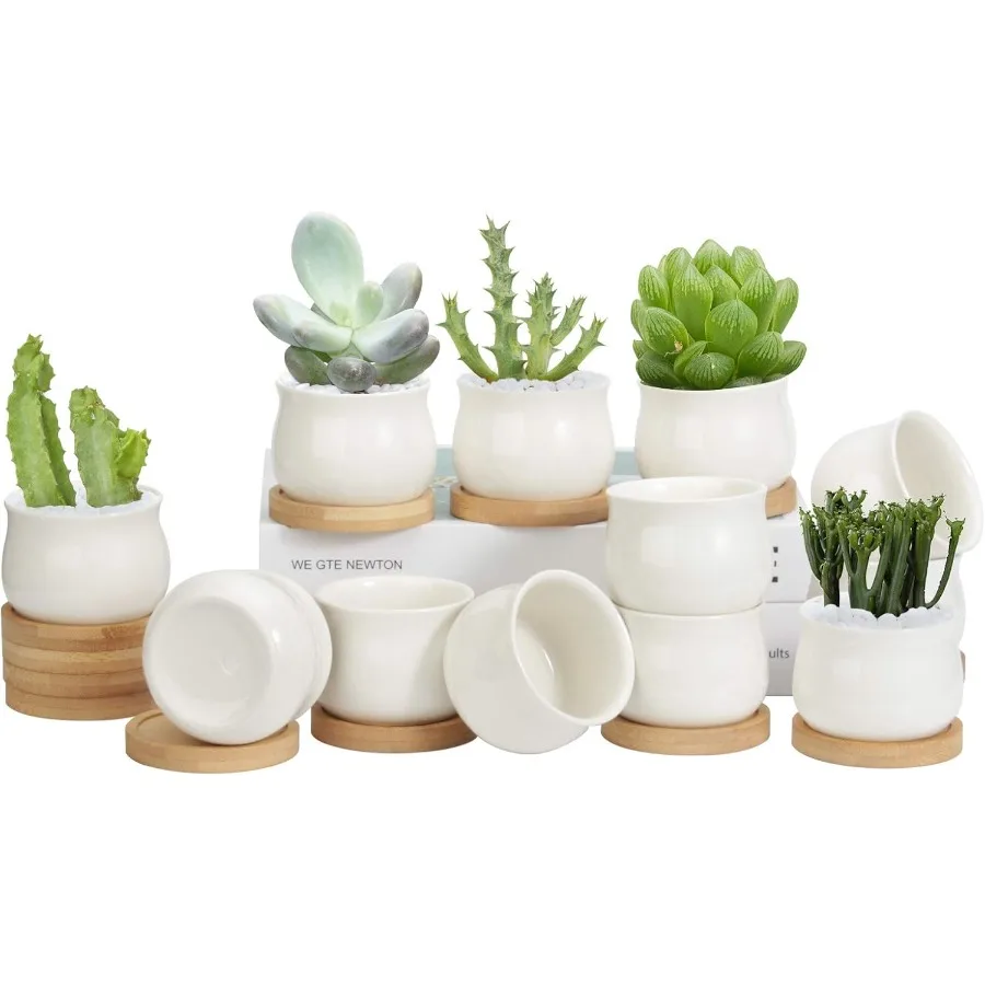 

12 Pack Succulent Pots 2.6 Inch Mini Ceramic Pots for Flower or Cactus Plants with Drainage Hole Plants Not Included