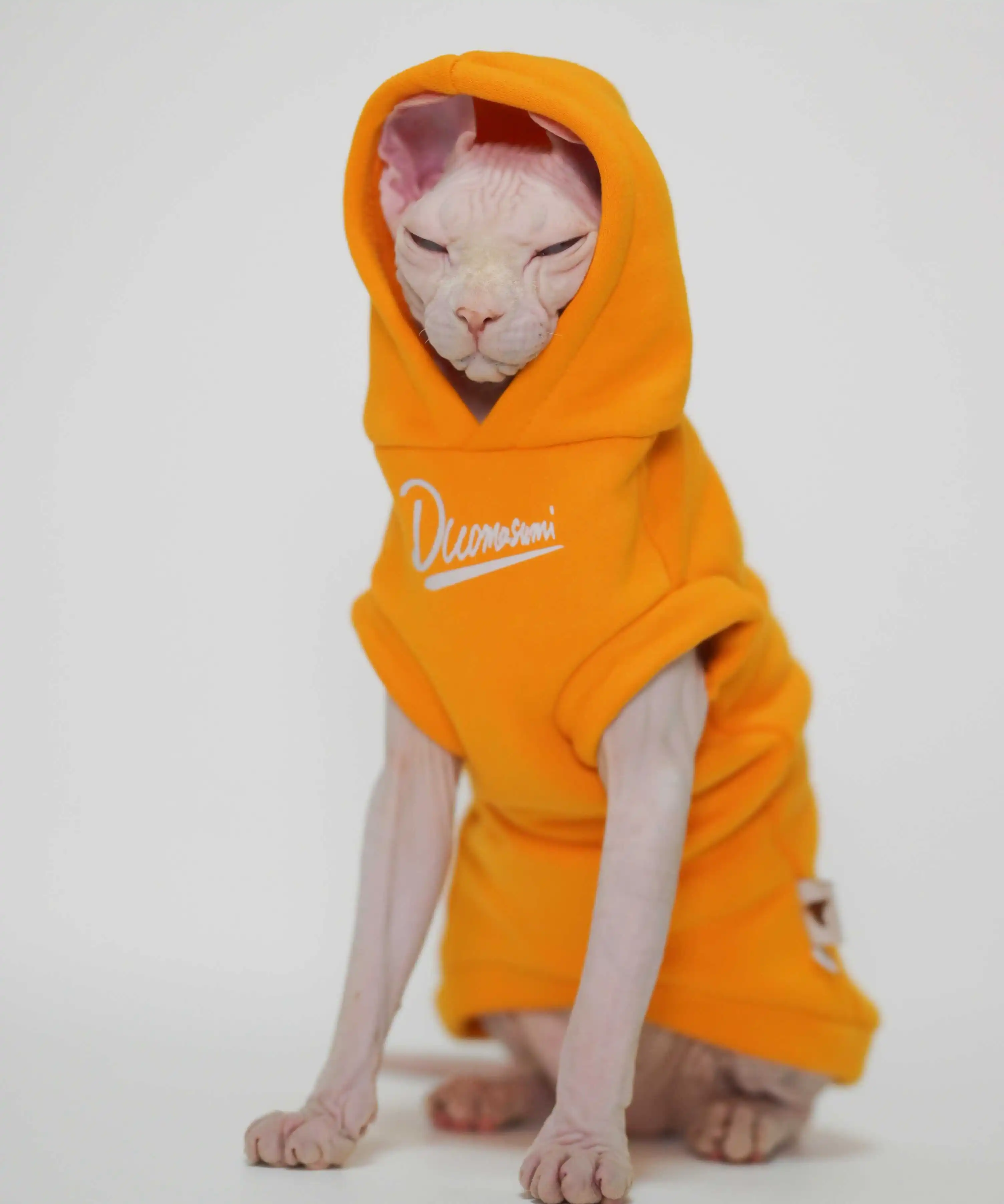 Hairless Cat Clothes Warm and Soft Cat Hoodies for Sphynx, Devon, Cornish and Abyssinian Cats