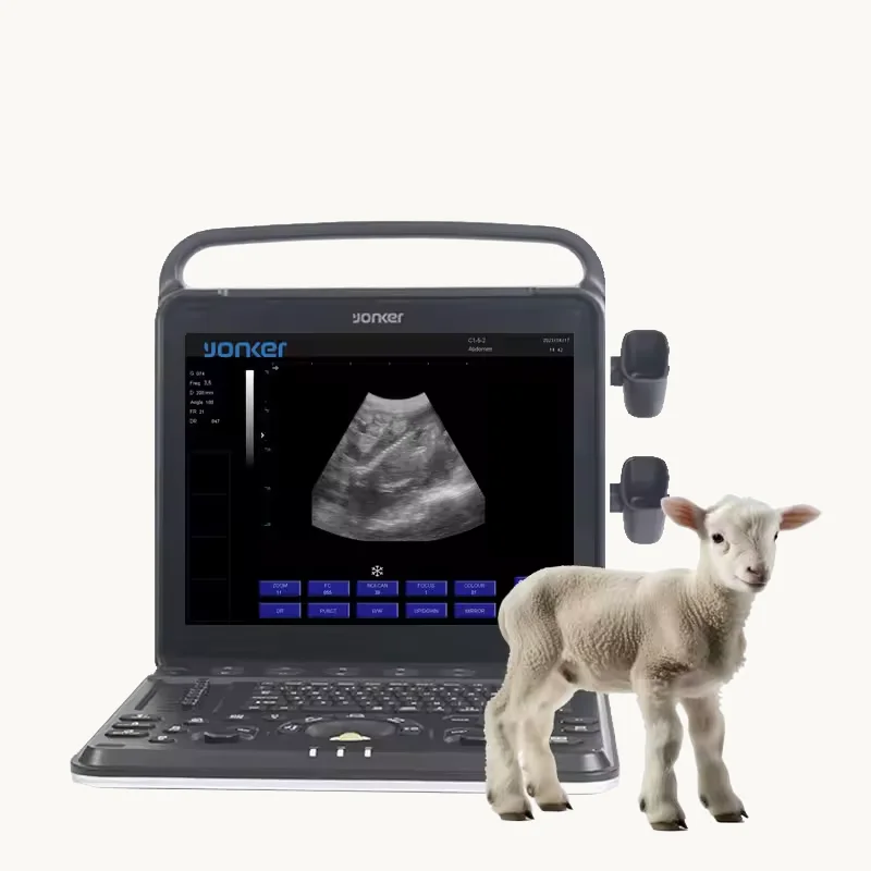 Fitin Medical portable veterinary diagnostic sensor pet hospital digital instrument for veterinarian ultrasound machine