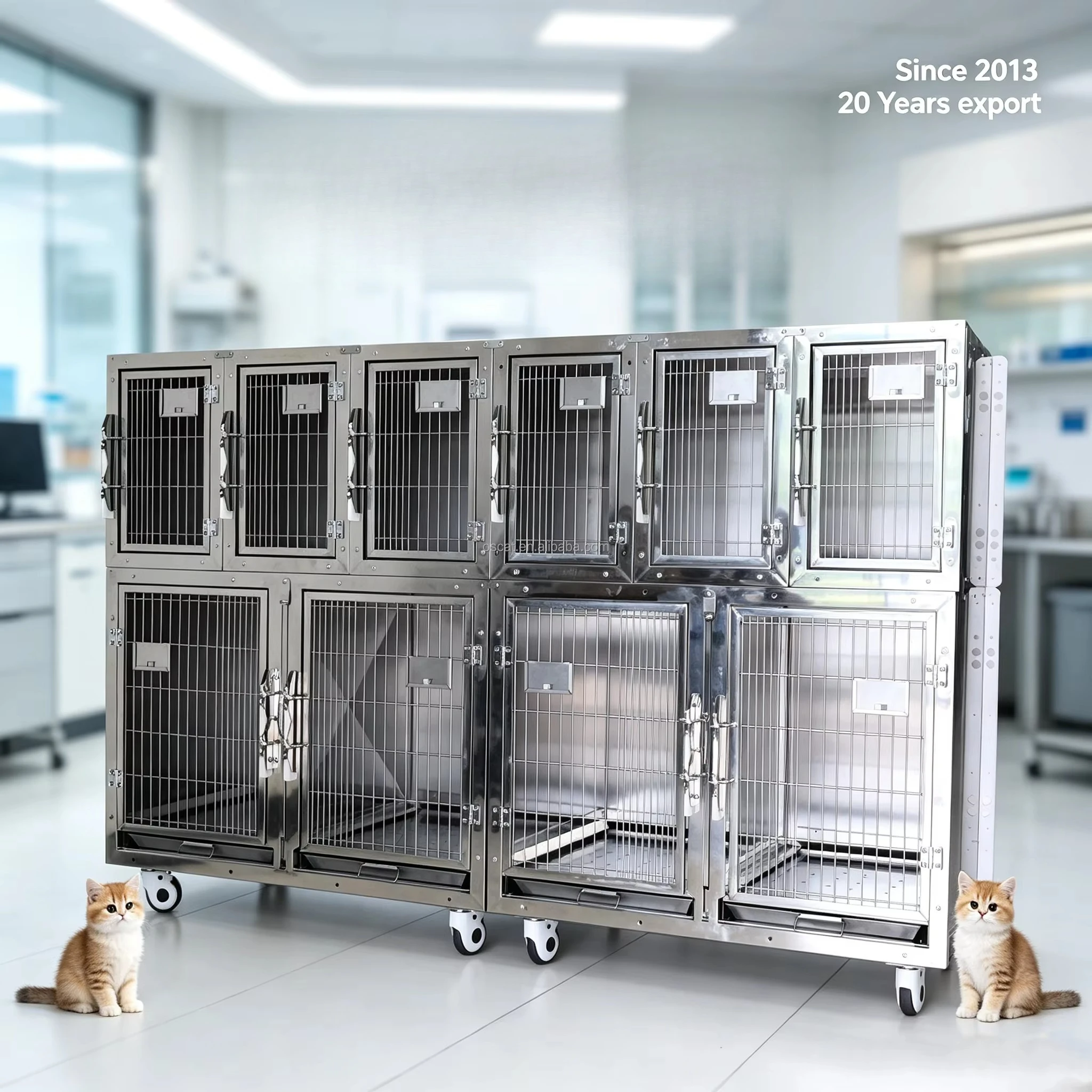 OfficAT Vet 10 Portal Assembled Cage Veterinary Equipment European Union Standard, Safe and Easy to Clean, Pet Medical Equipment
