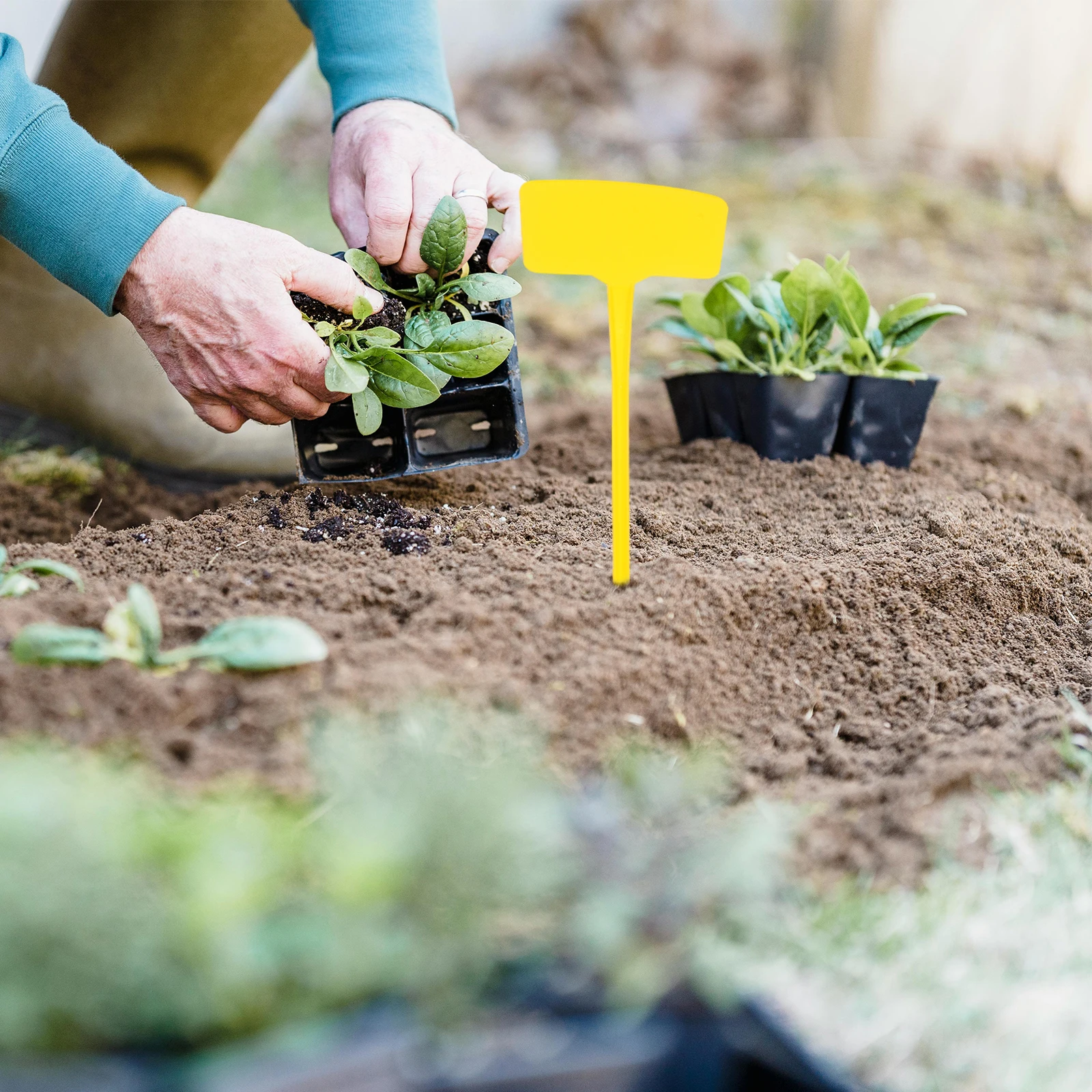 

10 шт. садовые колья для этикеток, элегантный дизайн с бантом, этикетки с растениями, простые в саду вывески для наружного использования в саду