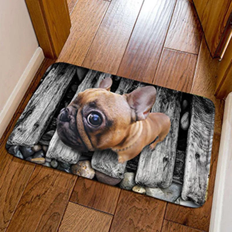 3D Flannel Printed Cute Pug Dog Entrance Doormat Floor Carpet Bathroom Bedroom Door Mat Bedside Rug Home Decor Kitchen Balcony