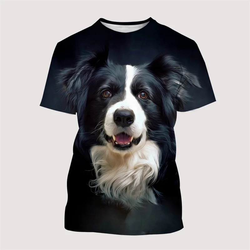 Animal Border Collie Graphic T Shirts Men Casual T-shirt Fashion 3D Printed Street Summer Tee Fashion Harajuku Short Sleeve Tops