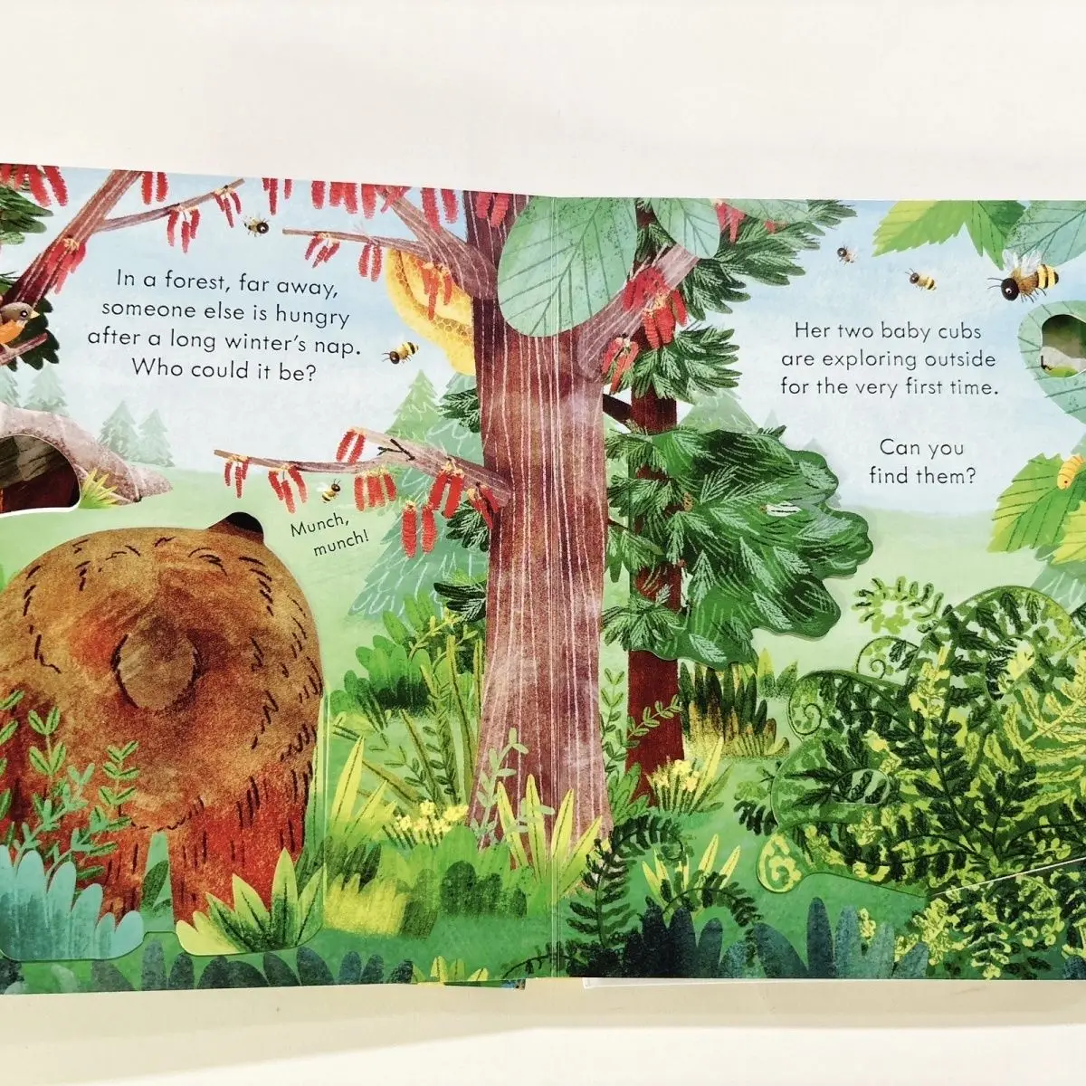 Usborne Peep Inside springtime Children's early education science popularization board book flip book