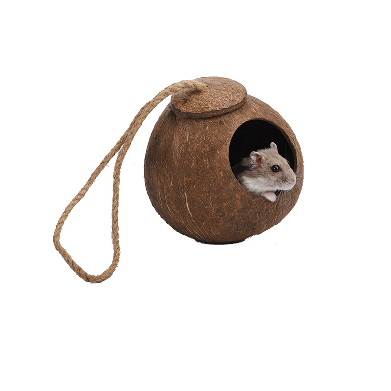 

Hamster coconut shell nest summer escape landscaping cooling summer golden bear villa flower branch mouse nest polished