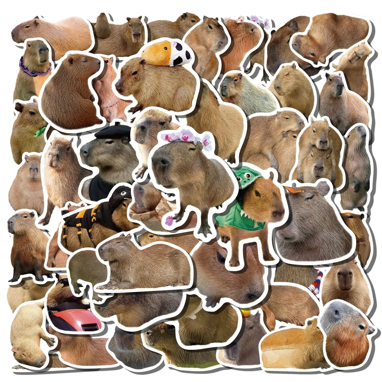 

50PCS Cute Capybara Stickers DIY Stickers Skateboard Motorcycle Suitcase Decor Phone Laptop Decals
