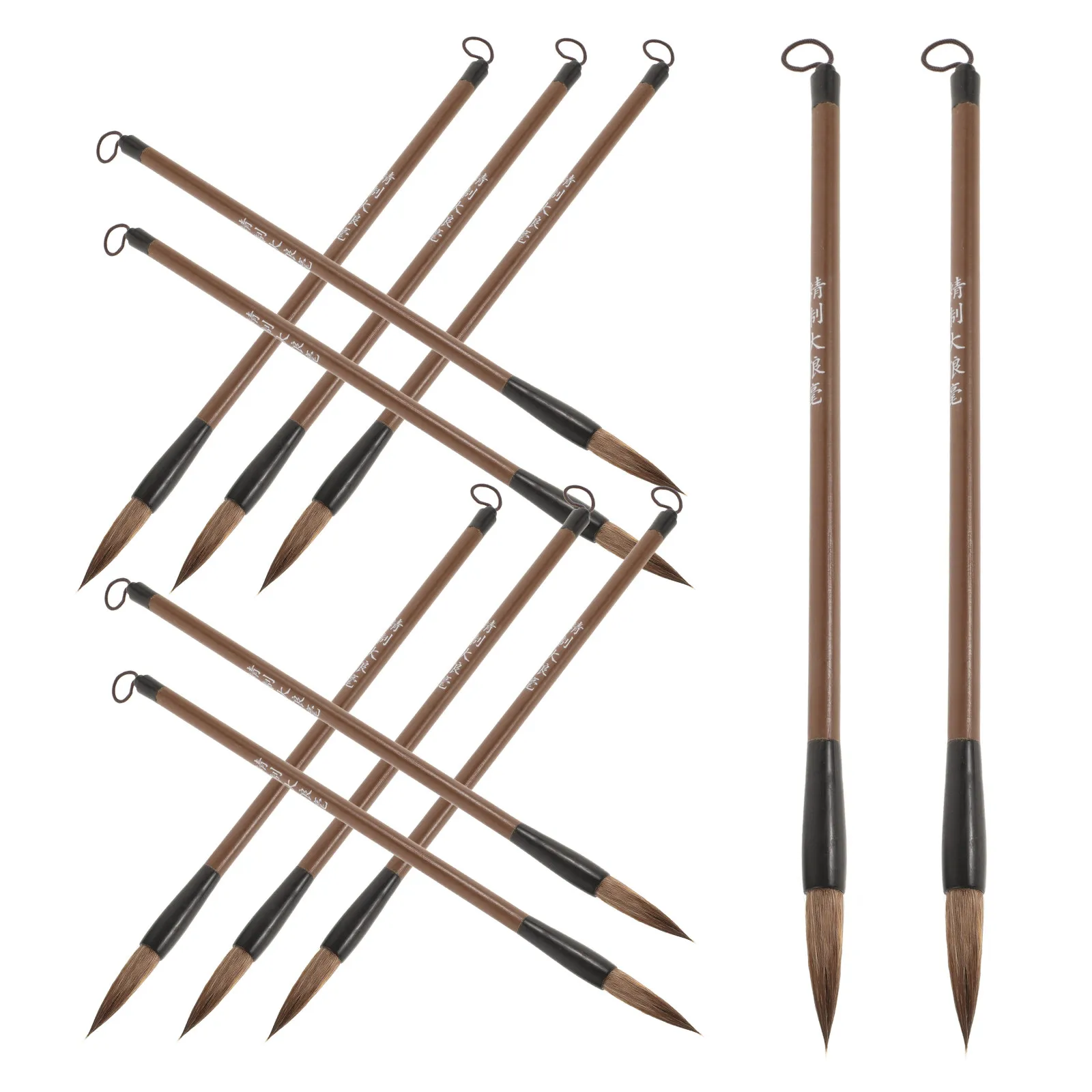 

12Pcs Chinese Calligraphy Brush Set Traditional Ink Painting Brushes Soft Smooth Writing Calligraphy Kits for Beginners