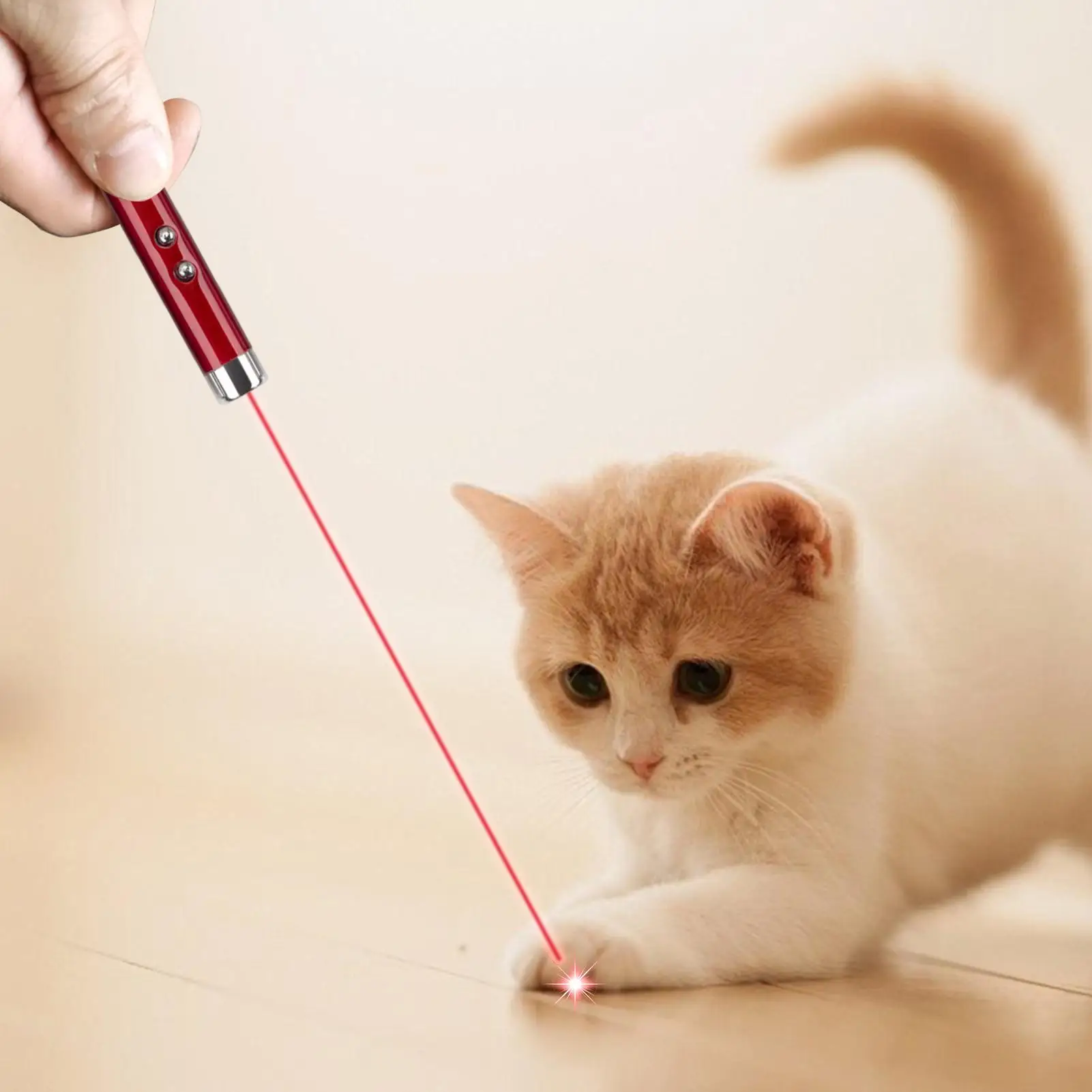 Cat Laser Pointer Toy Key ring ornament Interactive Training Exercise Hunting Toy Enrichment Chasing Toy for Indoor Cats Kittens