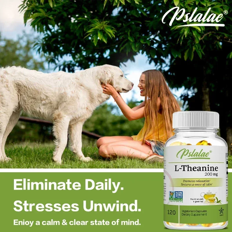 L-Theanine 200 ملغ - تخفيف التوتر، ويحافظ على الهدوء والمزاج المريح، ويحسن التركيز