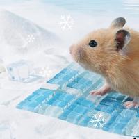 Chinchilla Cooling Stone Ice Pad Summer Bed For Hamster Pet Supplies Hamster Cooling Mat Pet Heat Dissipation Plate For Hamster