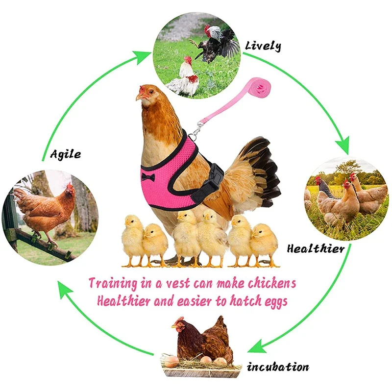 Adjustable Chicken Harness Leash Comfortable and Breathable Small Size Hen Pet Vest for Chicken Duck Goose Training Walking